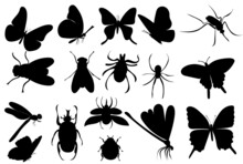 Set Of Insects Silhouette,set On White Background,vector