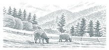 Cows Grazing In A Mountains Landscape Vector Line Engraving Style Illustration. Vector. 	

