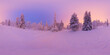 Winter forest of Lapland in the evening