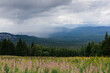 View on a rain clouds over mountain forest valley in Russia