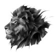 painted portrait of a muzzle of a lion on a white background