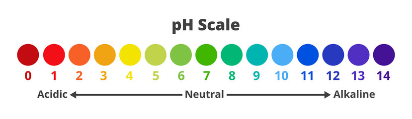 Vector chemical illustration of pH scale for a measure of how acidic or basic solution is.  Ph scale value test with the range from 0 to 14 isolated on a white background. Acidic, neutral, alkaline.