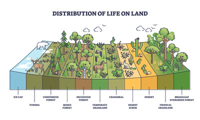 Wall Mural - Distribution of life on land with geographical climate zones outline diagram. Labeled educational categories division system for natural habitat zoning vector illustration. Earth vegetation scheme.