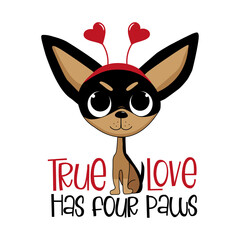 Wall Mural - True love has four paws - cute chihuahua dog with hearts. Good for greeting card, T shirt print, poster, label mug, and other gifts design.