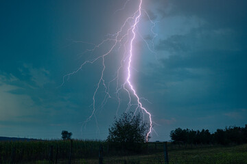 Wall Mural - bright branched bolt of lightning strikes very close behind a tree in the landscape