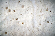 Detail photograph of ripe sourdough starter for bread and other baked goods