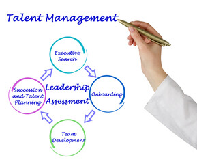 Wall Mural - Four Components of Talent Management