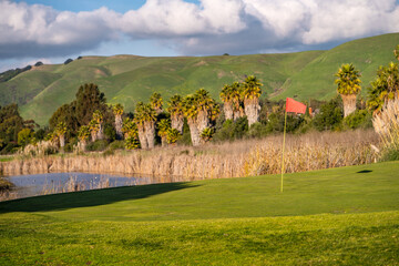 Wall Mural - Nice view of a golf course with a flag. 