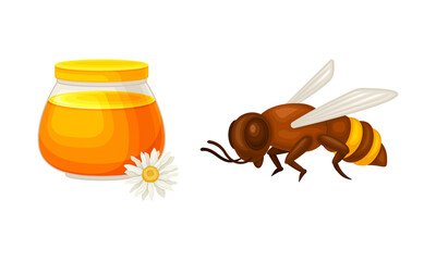 Poster - Beekeeping and honey production set. Jar of honey and honeybee vector illustration