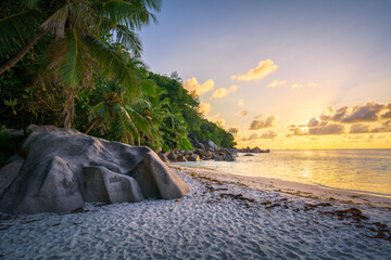 Wall Mural - sunset at tropical beach anse georgette on praslin on the seychelles