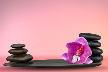 Sticker - Background for cosmetic products of natural color. Stone podium with plant.