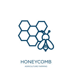 Poster - honeycomb icon from agriculture farming and gardening collection. Thin linear honeycomb, honey, hexagon outline icon isolated on white background. Line vector honeycomb sign, symbol for web and mobile