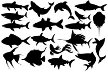 Fish Silhouettes Set Vector. Collection Sea And Lake Fishes Hand Drawing, Vector Illustration

