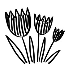 Marker Bright Black White Flower Flower With Leaves Hand Drawn Line Stroke