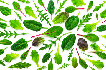 set of baby green leaves isolated on white background. arugula, spinach, beet, lettuce salad foliage