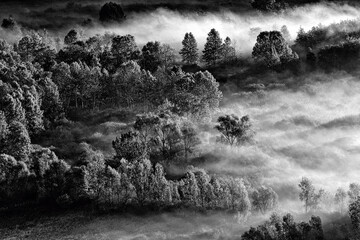 Poster - The awakening, black and white landscape at sunrise 