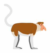 Male Proboscis Monkey Seen In Side View - Flat Style Vector