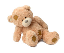 Brown Teddy Bear On A White Background