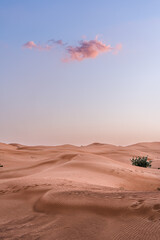 Wall Mural - sand dunes in the desert