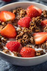 Wall Mural - Healthy Homemade Chocolate Granola