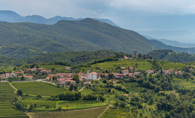 Wall Mural - Goriška Brda Landscape