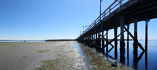 White Rock Pier During Low Tide