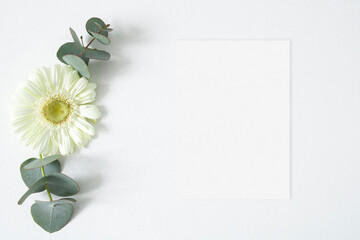 Wedding mockup card with gerbera and eucalyptus leaves on the white background