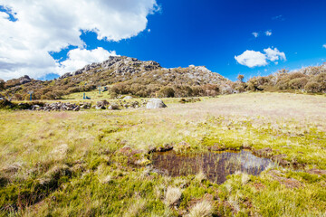 Wall Mural - Summer Landscape at Mt Buffalo Australia