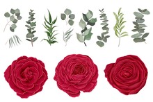 Vector Set Of Red Roses And Plants. Compositions Of Plants. Plants And Flowers Isolated On A White Background. Elements For Floral Design.