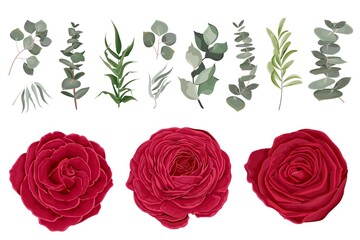 Wall Mural - Vector set of red roses and plants. Compositions of plants. Plants and flowers isolated on a white background. Elements for floral design.