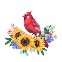 Cardinal Bird On A Summer Floral Wreath. Watercolor Bouquet With Sunflowers. Isolated Hand Drawn Illustration. Elegant Summer Flowers Arrangement.