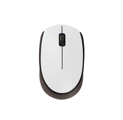 Computer mouse isolated on white background.