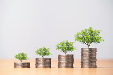 Wall Mural - Growing trees on increasing coins stacking for growth money saving and business profit investment concept.