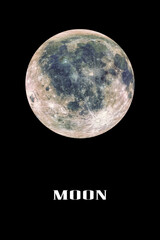 Wall Mural - artist view of the moon