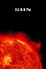 Wall Mural - artist view of the sun