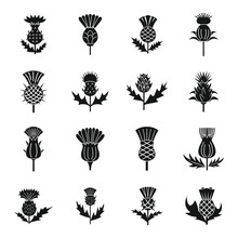 Thistle Icons Set Simple Vector. Scottish Flower