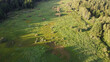 Aerial view of forest edge and grass field border during a summer day. Green trees and glade clearing top view. Stock photo from above