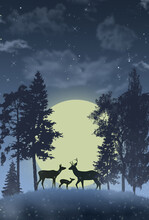 Digital Illustration .Deers Family At The Farytale Misty Night Forest.