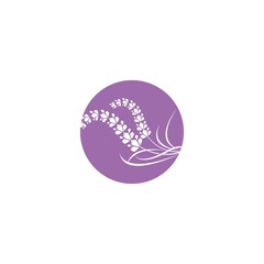 Wall Mural - Fresh Lavender flower logo vector flat design