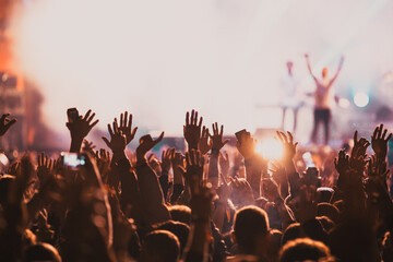 Wall Mural - concert and festival background crowd of people partying