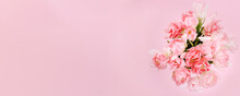 Creative Spring Background Composition Colorful Flowers On Pink Background.