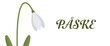 © Dines - Glædelig påske baggrund. Vintergæk blomst, vector
