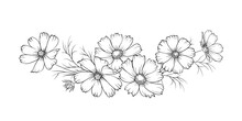 Black Silhouette Of A Garland Of Cosmos Flowers. Vector Illustration On White Background.