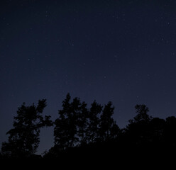 Wall Mural - Star filled night with dark forest below