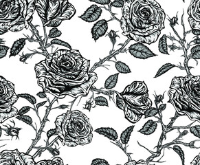 Seamless vector floral pattern of black and white roses with stems, leaves, buds and thorns tangled on white background.