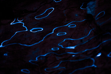Waves of blue light reflections on dark background. Abstract curves lines of fluorescent light on ice surface. Dark background with organic, liquid lights. Techno style texture.