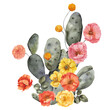 Watercolor bouquet with cactus and desert flowers, in boho style, isolated on white background