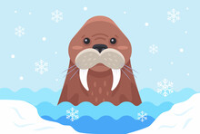 Brown Walrus Swims Among Ice Floes In Antarctica. Flat Vector Illustration.