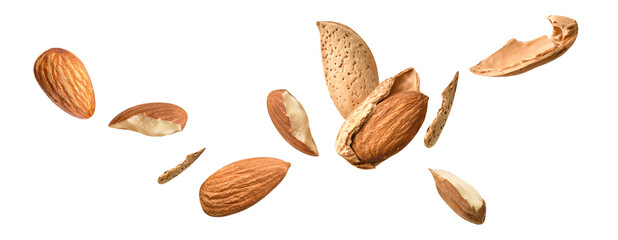 Wall Mural - full almond crack fly on white background isolated ,piece almond clipping path