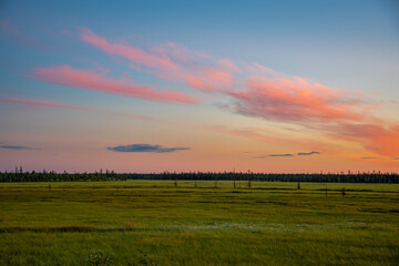 Sticker - sunset over the field